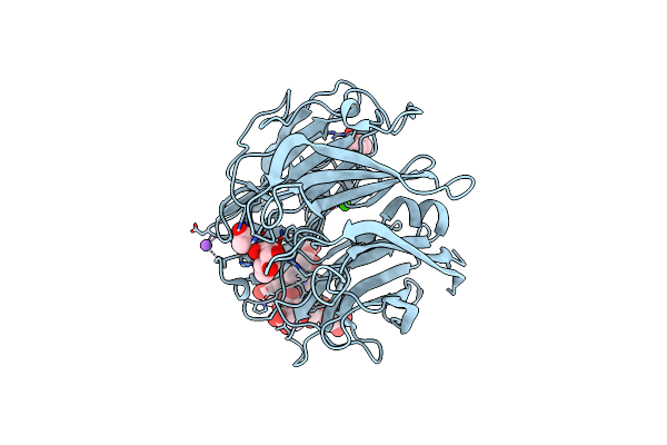 8I4D image