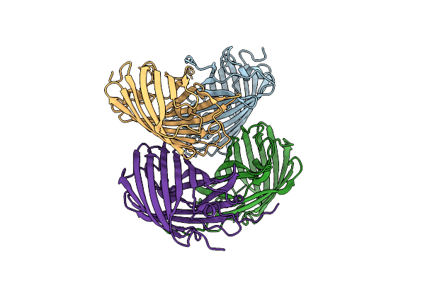 8I4J image