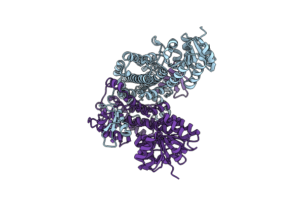 8I4N image
