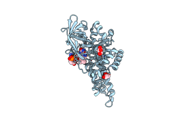8I4P image