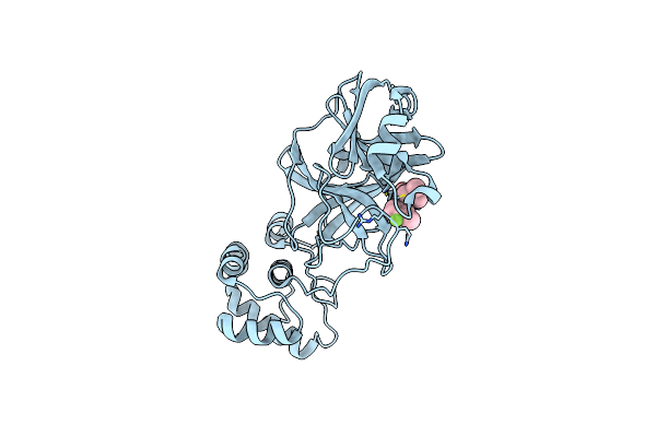8I4S image