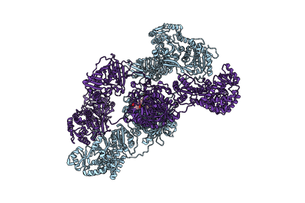 8I4Y image