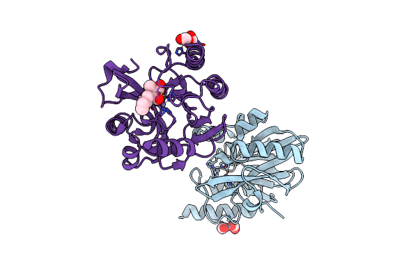 8I52 image