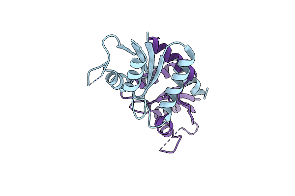 8I55 image