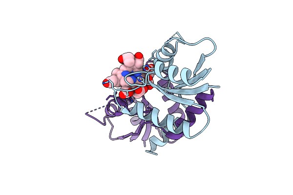 8I58 image
