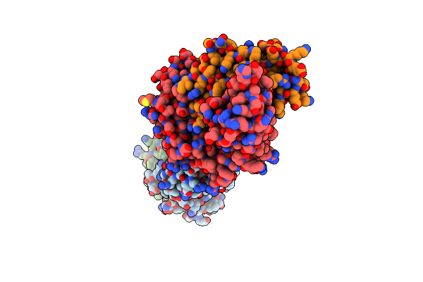 8I5D image