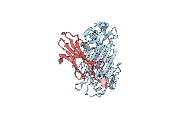 8I5E image