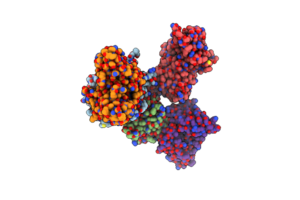 8I5L image