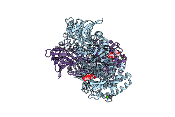 8I5P image