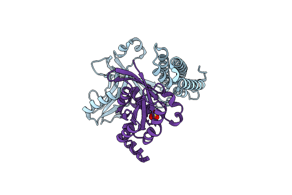 8I5W image
