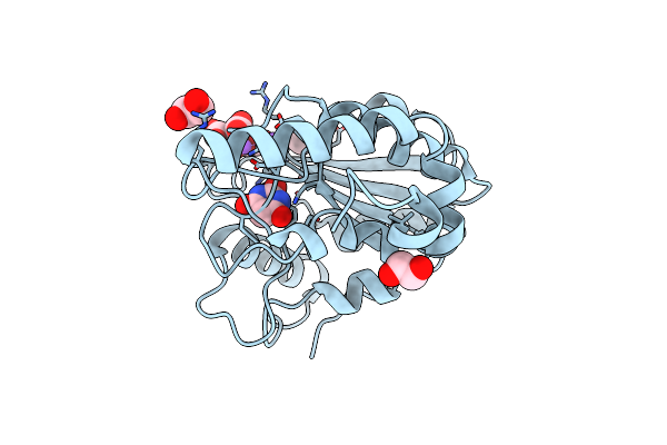 8I61 image