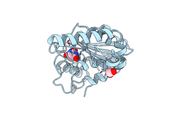 8I62 image