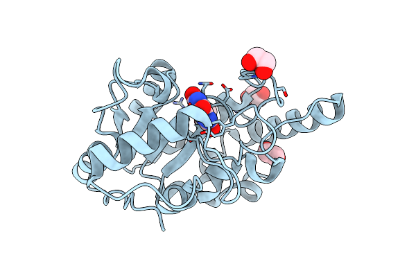 8I68 image