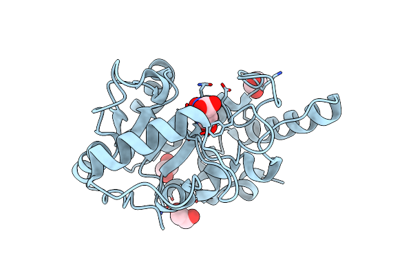 8I6A image