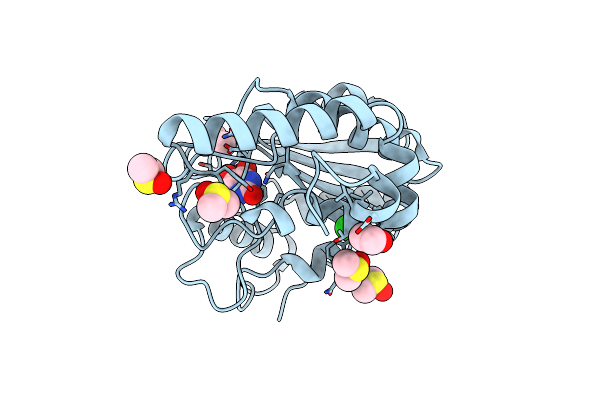 8I6B image