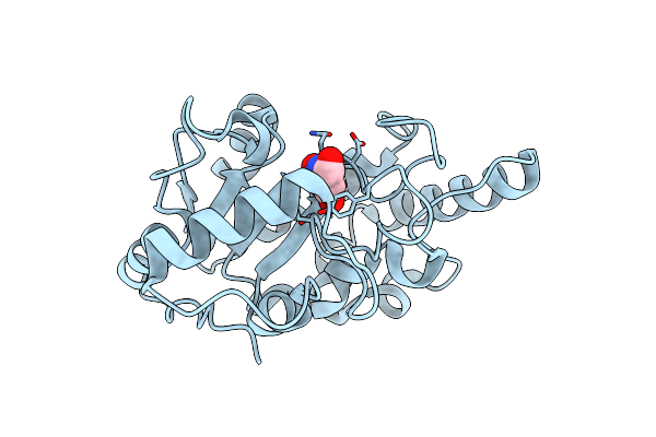 8I6C image