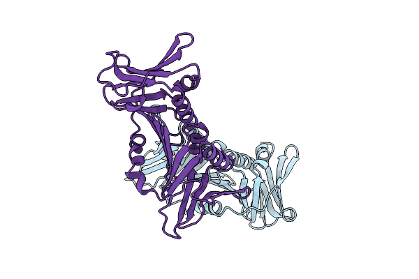 8I6G image