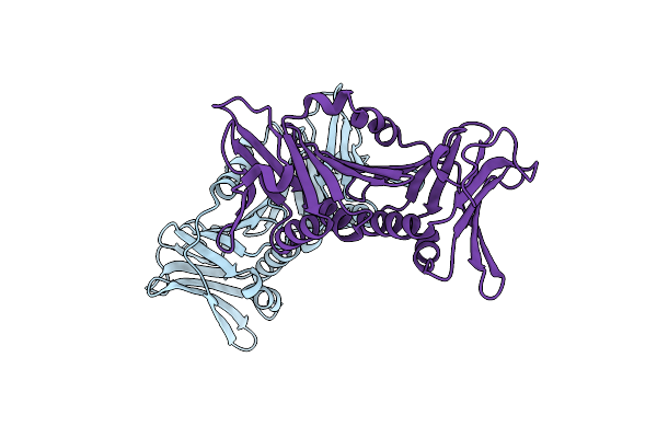8I6H image