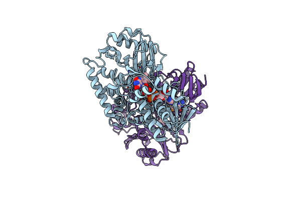 8I6I image