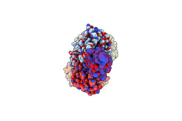 8I6O image