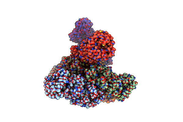 8I6T image