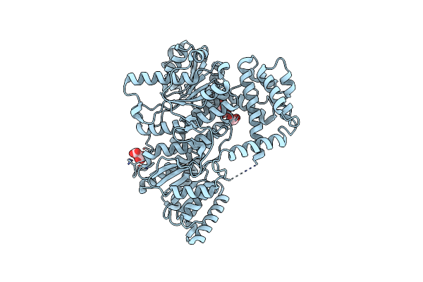 8I6Z image