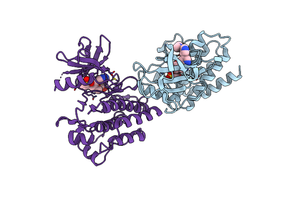 8I7T image