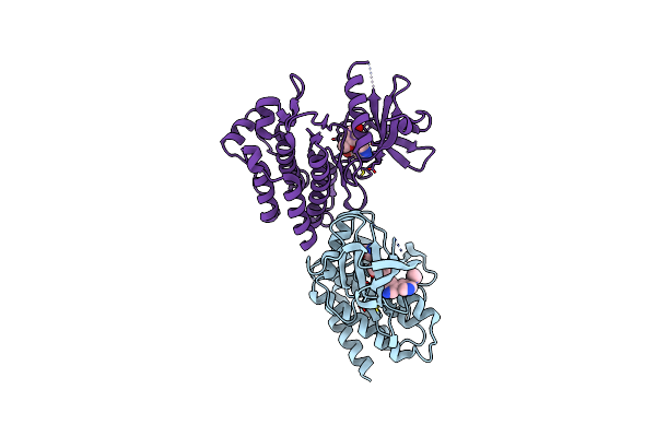8I7Z image