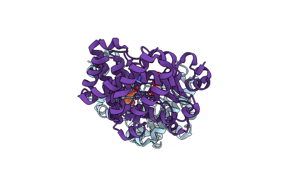 8I86 image