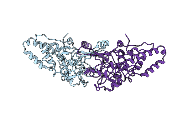 8I8A image