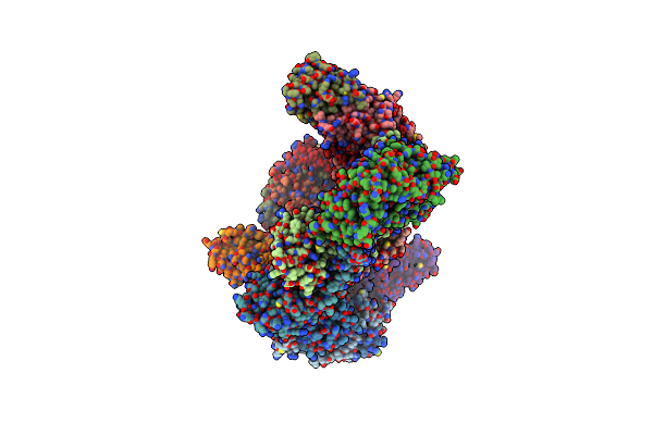 8I8B image