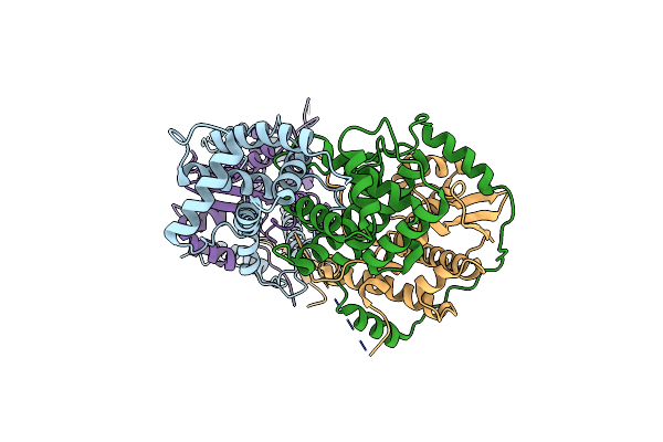 8I8C image