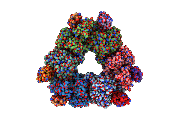 8I8D image
