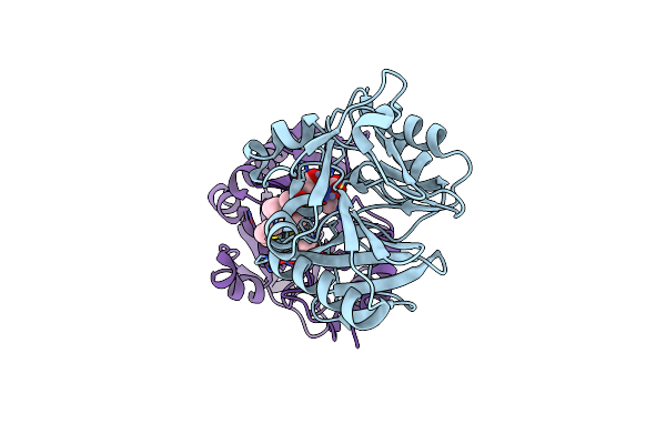 8I8F image