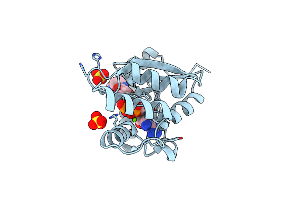 8I8P image