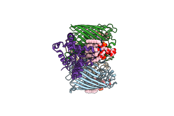 8I8R image