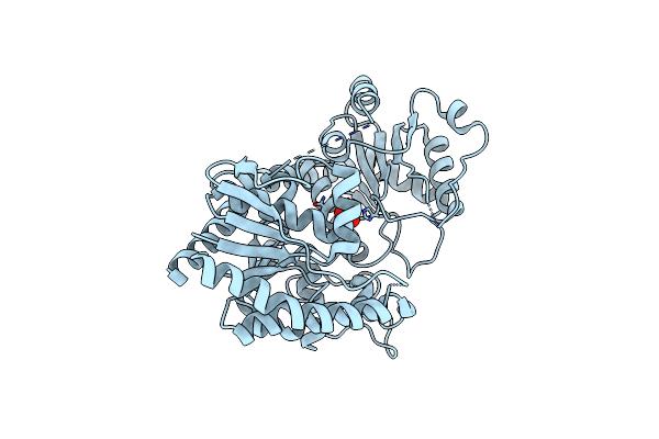 8I8Z image