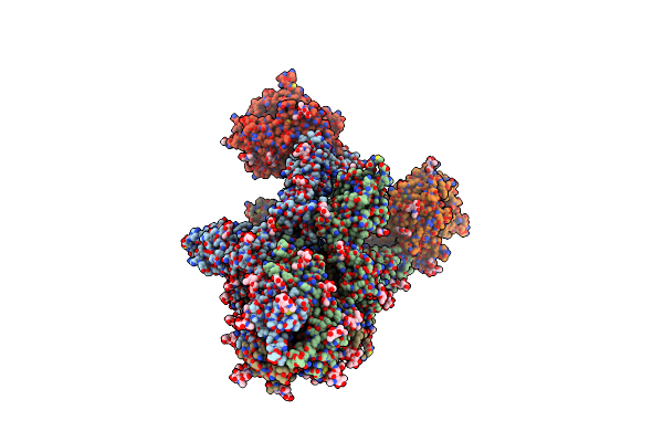 8I9D image