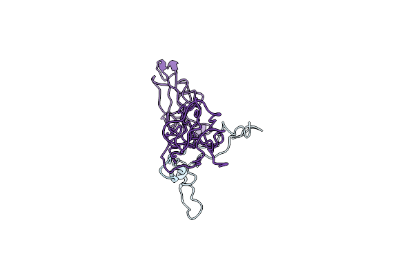 8I9M image