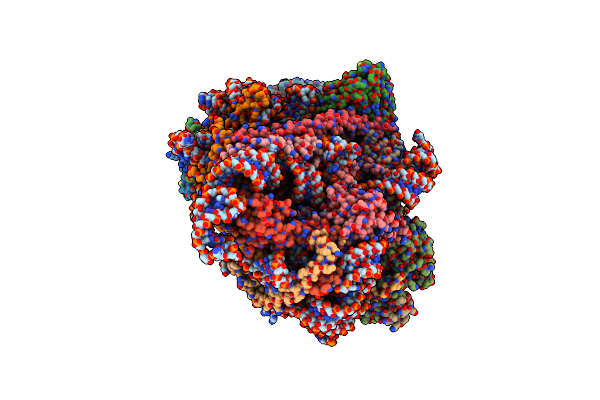 8I9P image