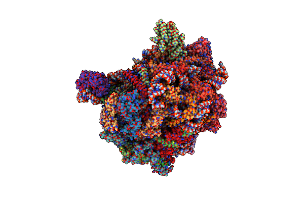 8I9V image