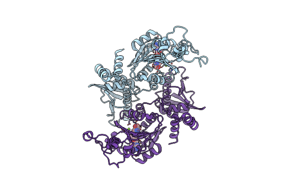 8IAA image