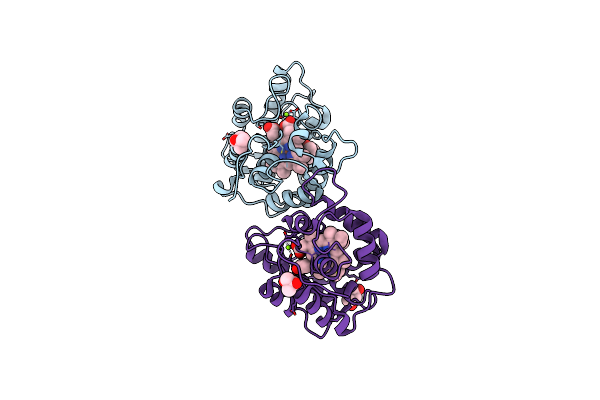 8IAG image