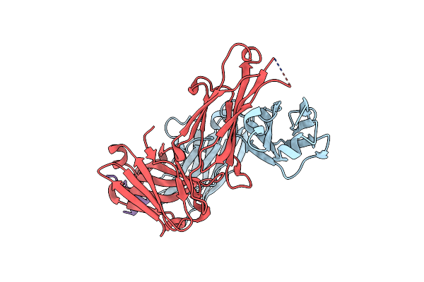 8IB1 image