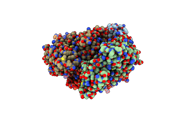 8IB2 image