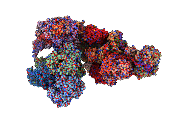 8IBD image