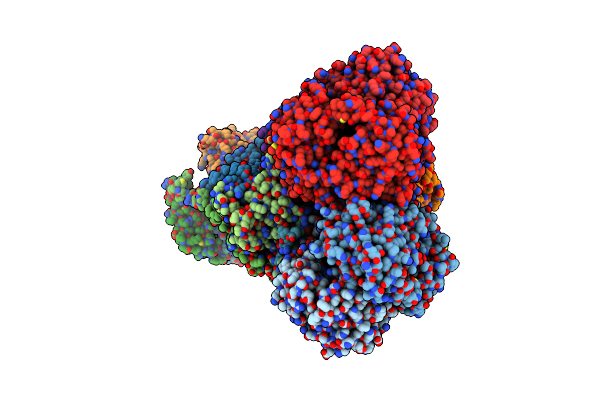 8IBG image