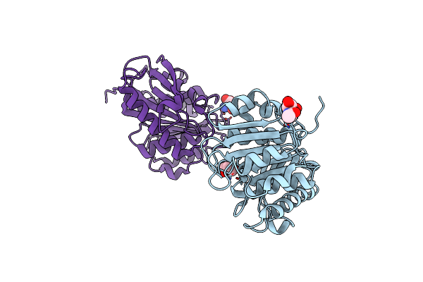 8IBI image