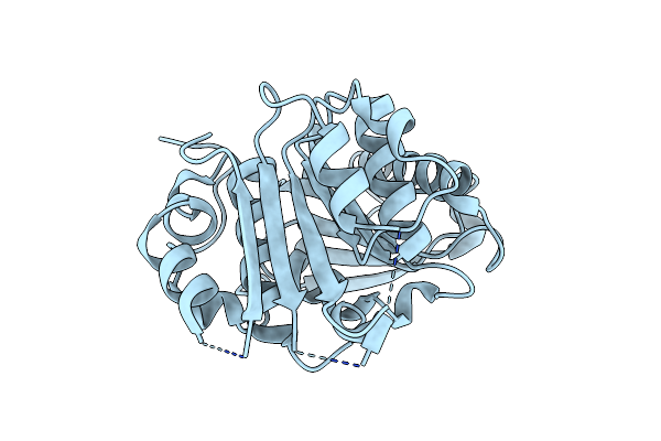 8IBJ image