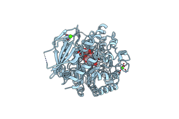 8IBK image